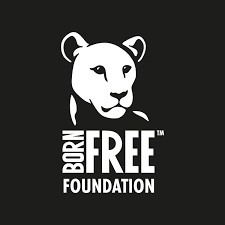 Born Free Foundation Logo